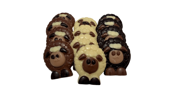 Offerfeest Schaap Chocolade